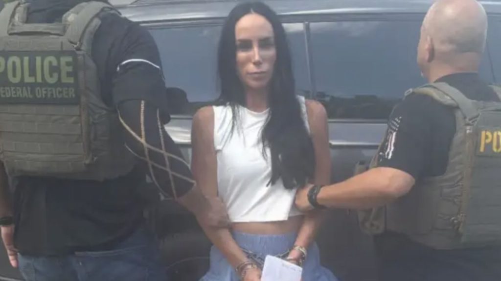 Inés Gómez Mont Arrested